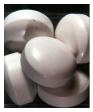 Alumina Naturals Grinding Media